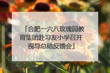 合肥一六八玫瑰园教育集团赴习友小学召开视导总结反馈会