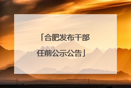 合肥发布干部任前公示公告