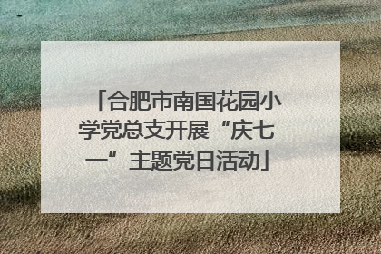 合肥市南国花园小学党总支开展“庆七一”主题党日活动