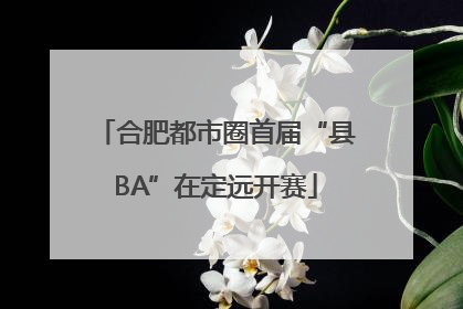 合肥都市圈首届“县BA”在定远开赛