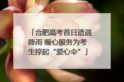 合肥高考首日遭遇降雨 暖心服务为考生撑起“爱心伞”