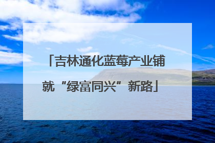 吉林通化蓝莓产业铺就“绿富同兴”新路