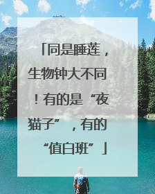 同是睡莲，生物钟大不同！有的是“夜猫子”，有的“值白班”