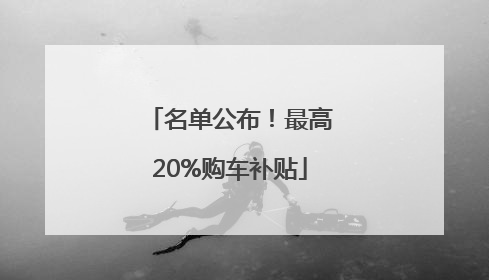 名单公布！最高20%购车补贴