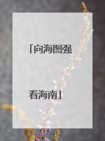 向海图强看海南