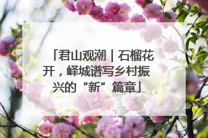 君山观潮｜石榴花开，峄城谱写乡村振兴的“新”篇章