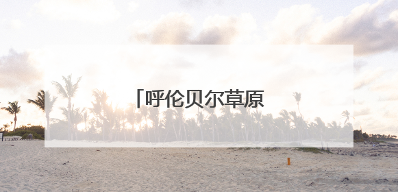 呼伦贝尔草原上狼崽撒欢儿