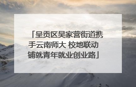 呈贡区吴家营街道携手云南师大 校地联动铺就青年就业创业路