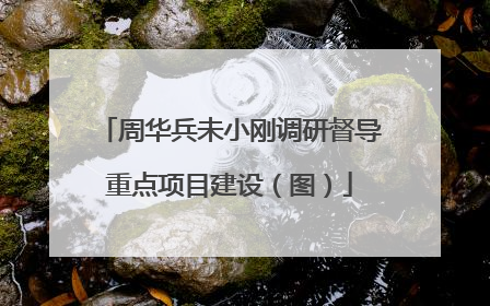 周华兵未小刚调研督导重点项目建设（图）