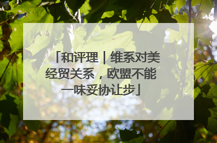 和评理｜维系对美经贸关系，欧盟不能一味妥协让步
