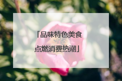 品味特色美食 点燃消费热潮