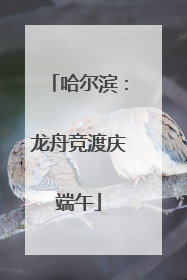 哈尔滨：龙舟竞渡庆端午