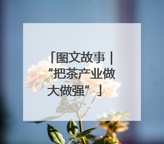 图文故事｜“把茶产业做大做强”