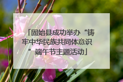 固始县成功举办“铸牢中华民族共同体意识”端午节主题活动