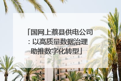 国网上蔡县供电公司：以高质量数据治理 助推数字化转型