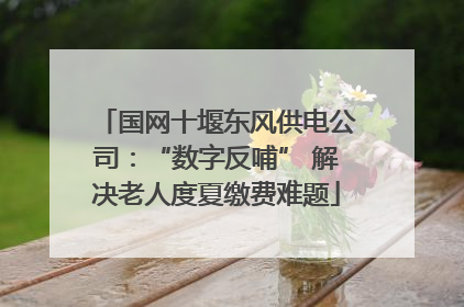 国网十堰东风供电公司：“数字反哺” 解决老人度夏缴费难题