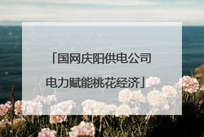 国网庆阳供电公司电力赋能桃花经济