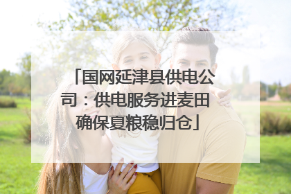 国网延津县供电公司：供电服务进麦田 确保夏粮稳归仓