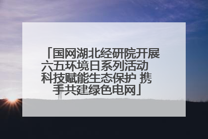 国网湖北经研院开展六五环境日系列活动 科技赋能生态保护 携手共建绿色电网