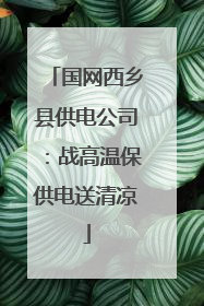 国网西乡县供电公司：战高温保供电送清凉