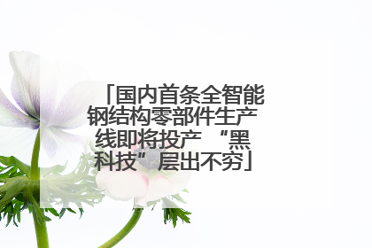 国内首条全智能钢结构零部件生产线即将投产 “黑科技”层出不穷