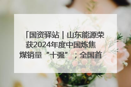 国资驿站｜山东能源荣获2024年度中国炼焦煤销量“十强”；全国首例铁路盖上智慧物流园钢结构主体完工