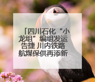 四川石化“小龙组”编组发运告捷 川内铁路航煤保供再添新动能
