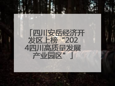 四川安岳经济开发区上榜“2024四川高质量发展产业园区”