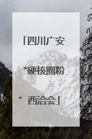 四川广安“硬核圈粉”西洽会