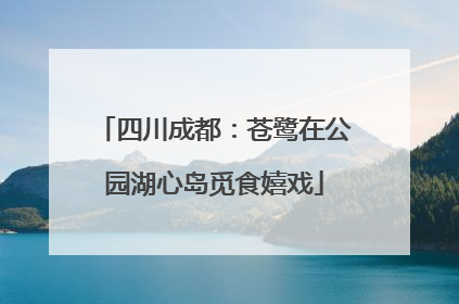 四川成都：苍鹭在公园湖心岛觅食嬉戏