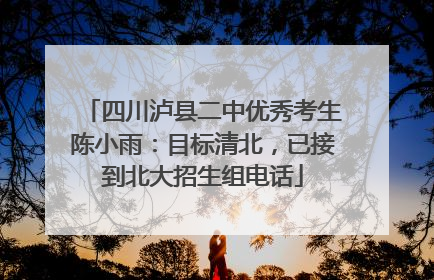 四川泸县二中优秀考生陈小雨：目标清北，已接到北大招生组电话