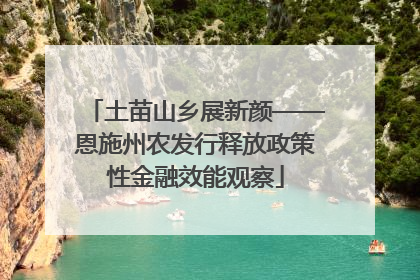 土苗山乡展新颜——恩施州农发行释放政策性金融效能观察