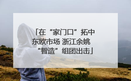 在“家门口”拓中东欧市场 浙江余姚“智造”组团出击