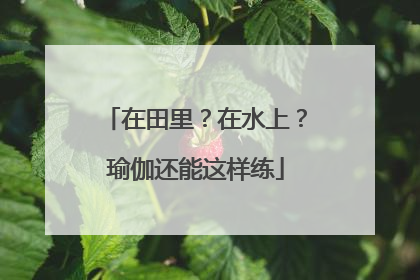 在田里？在水上？瑜伽还能这样练