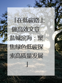 在低碳路上做高效文章 盐城滨海：聚焦绿色低碳探索高质量发展