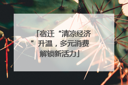 宿迁“清凉经济”升温，多元消费解锁新活力