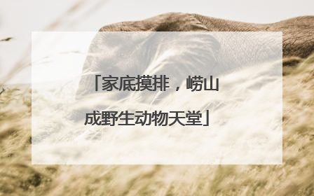 家底摸排，崂山成野生动物天堂