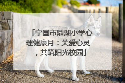 宁国市鼎湖小学心理健康月：关爱心灵，共筑阳光校园