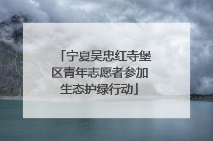 宁夏吴忠红寺堡区青年志愿者参加生态护绿行动