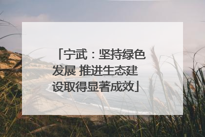 宁武：坚持绿色发展 推进生态建设取得显著成效