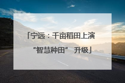 宁远：千亩稻田上演 “智慧种田” 升级