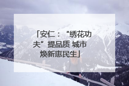 安仁：“绣花功夫”提品质 城市焕新惠民生