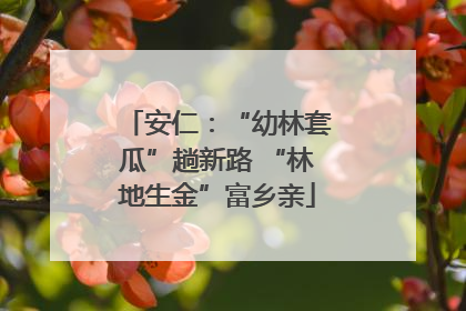 安仁：“幼林套瓜”趟新路 “林地生金”富乡亲