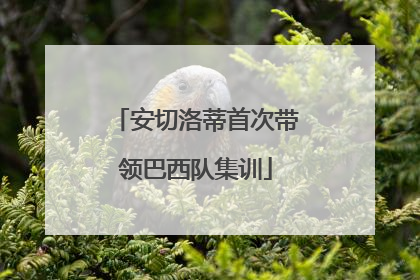 安切洛蒂首次带领巴西队集训