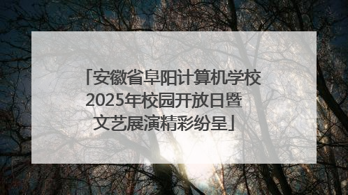 安徽省阜阳计算机学校2025年校园开放日暨文艺展演精彩纷呈