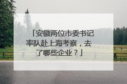 安徽两位市委书记率队赴上海考察，去了哪些企业？