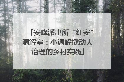 安峰派出所“红安”调解室：小调解撬动大治理的乡村实践