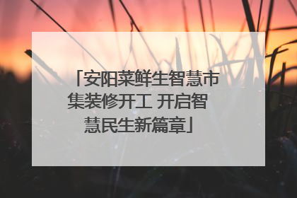 安阳菜鲜生智慧市集装修开工 开启智慧民生新篇章