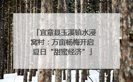 宜章县玉溪镇水浸窝村：万亩杨梅开启夏日“甜蜜经济”