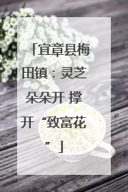 宜章县梅田镇：灵芝朵朵开 撑开“致富花”